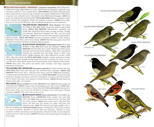 Birds of West Indies, kenttäversio - Raffaele ym. 2nd edition 2020